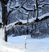 gal/Saison 2021/Galerie   1 Wintertraining 16.01.2021/_thb_IMG_7592.JPG